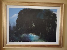 Antonio Pedretti 80x110 " Da azzuro Amazzonia"  