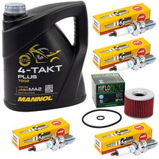 Revisione per Kawasaki GPZ