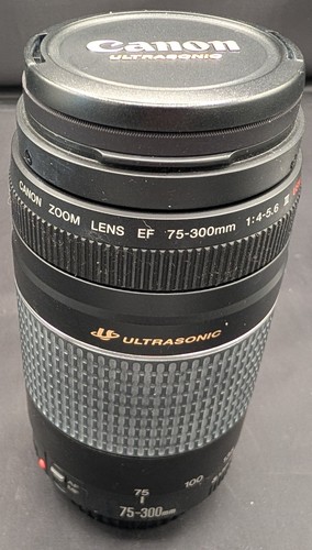 Canon 300mm 5 - ef, f/4-5.6