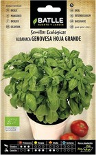 Semi Basilico Genovese 🌿