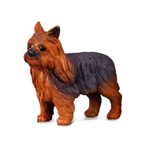Collecta collezione gatti - collezione, e