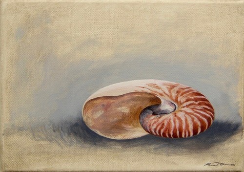 Dipinto originale conchiglia - dipinto,