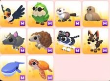 Mega Pets Uovo in via di