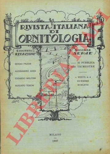 Rivista italiana - rivista,