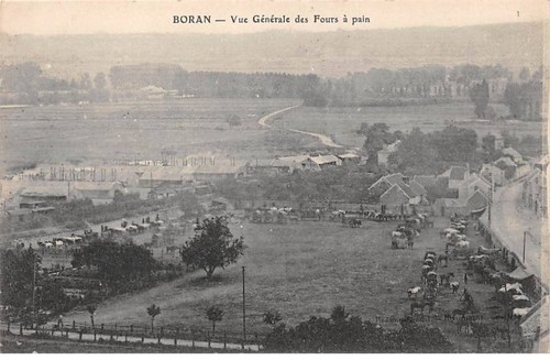 Boran san67069 vista - 60,