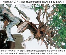 Cric per bonsai telescopico