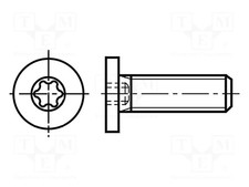 Testa: cilindrica Vite Torx