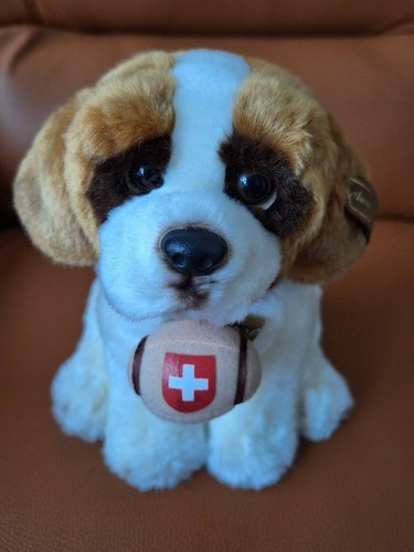 Cavalier king charles spaniel - cavalier,