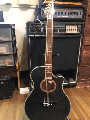 Chitarra elettrica acustica