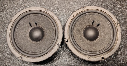 Speakers woofer cw162 ciare - speakers,