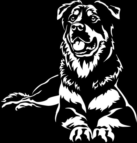 Adesivo beauceron berger de - adesivo,