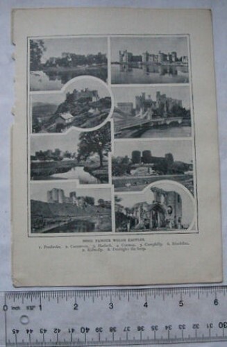 Illustrazione 1913 alcuni - illustrazione,