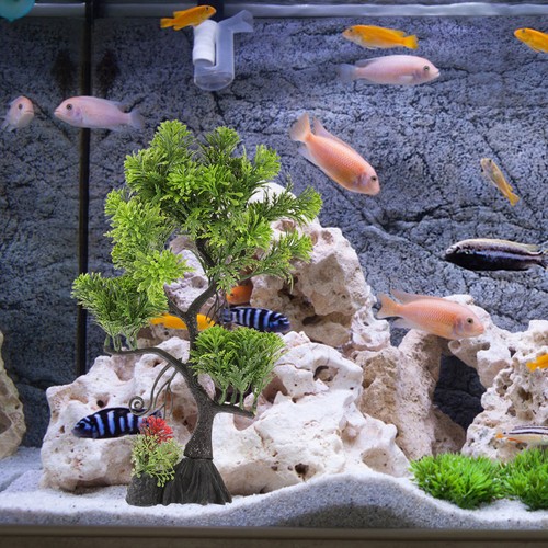 Acquario per pesci - acquario, vasca