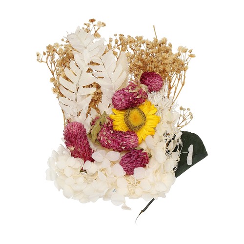 Set fiori secchi naturali - set,