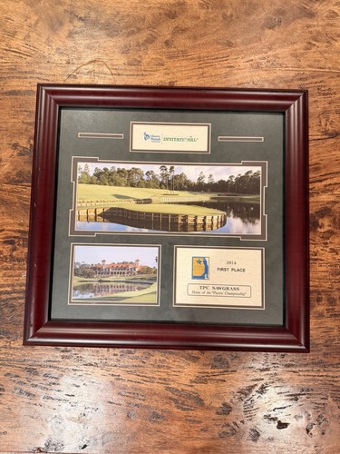 2014 tpc sawgrass posto - 2014,