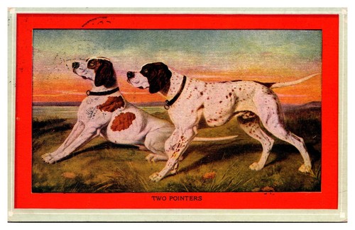 1910 due puntatori cani - 1910,