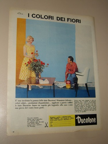 Ducotone pittura tinta - pittura,