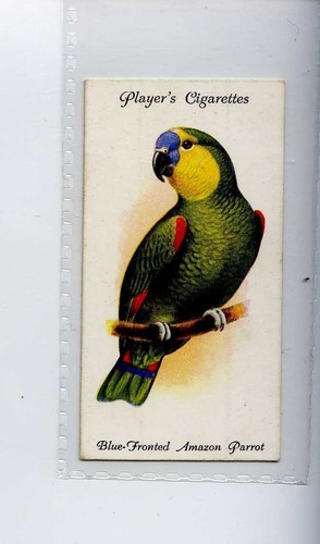 John players aviary - players,aviary, &