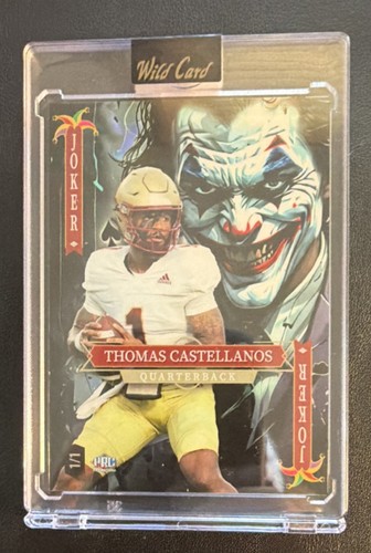 Wild card jokers - card,