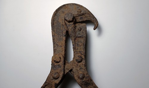 Pinza trancia reticolato o - reticolato,