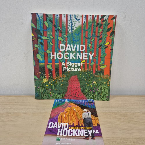 David hockney bigger picture - david, a