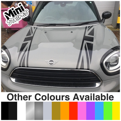 Mini countryman paceman union - countryman,