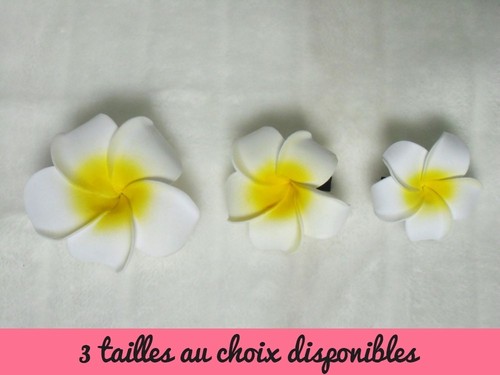 Pinza clip fermaglio capelli - clip,