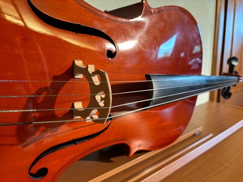 Violoncello con custodia - violoncello, 4/4