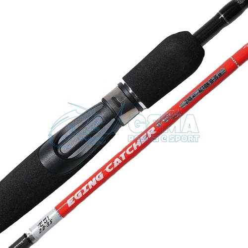 Canna alcedo eging - canna,
