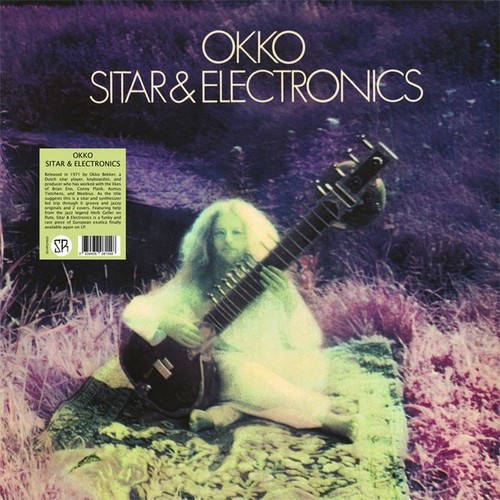 Okko sitar electronics - sitar,