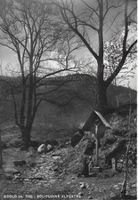 EDOLO - Solitudine Alpestre