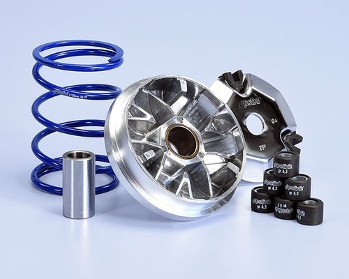 241 762 variatore - 241.762, polini