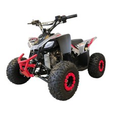 Mini Quad LEM Baby Kondor