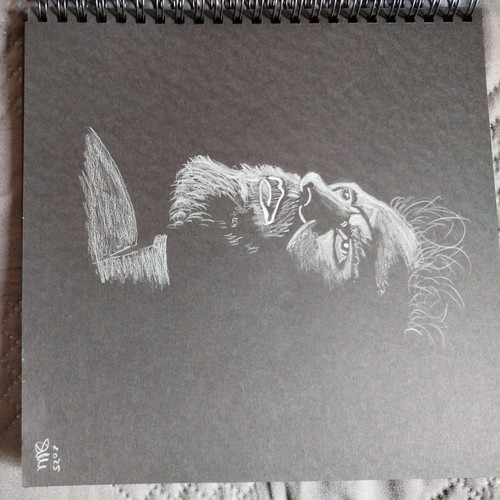 Disegno matita - a,