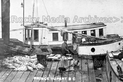 Aab fishing boat - aab-84, prince