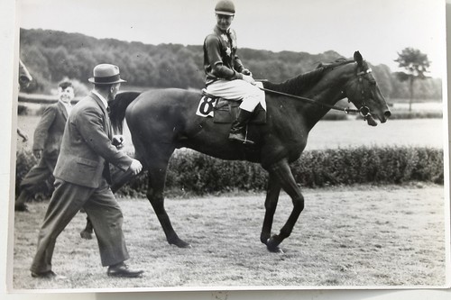 19537 foto krefeld walbecken - 19537,