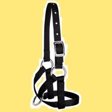 Weaver Capezza cavezza nylon