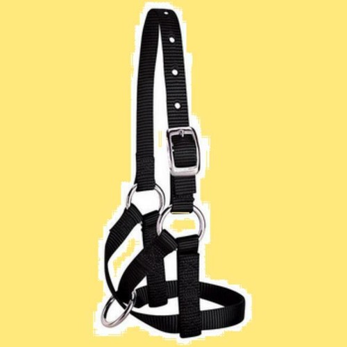 Weaver capezza cavezza nylon - capezza,