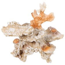  Coralli Decorativi Ornamenti Acquario Arredamento Dell'acquario in Resina