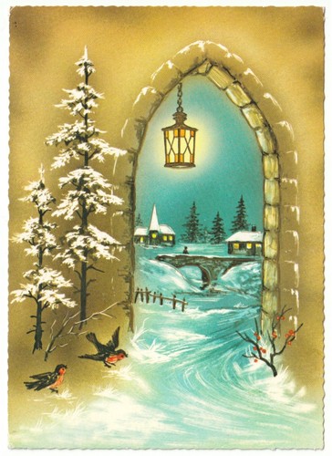 Neve paesaggio pettirossi - neve,