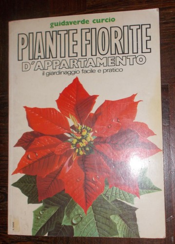 Piante fiorite appartamento - fiorite, d'appartamento