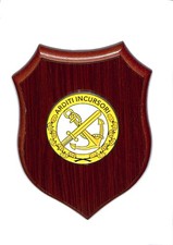 Crest  Arditi Incursori delle