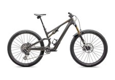 2025 specialized works - 2025,