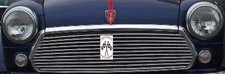 Modanatura cromata cofano anteriore Classic Mini Austin Rover Cooper