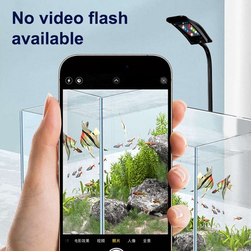 Pianta acquatica crescere