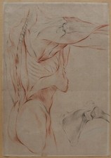 DISEGNO Antico Ante Humain