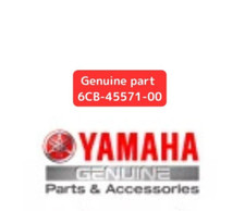 Yamaha OEM Gear 2 (21T)