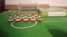 Subbuteo rara ref - lw,