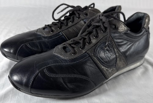 Sneakers canino lamborghini - sneakers,