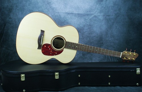 Chitarra acustica liuteria - acustica,